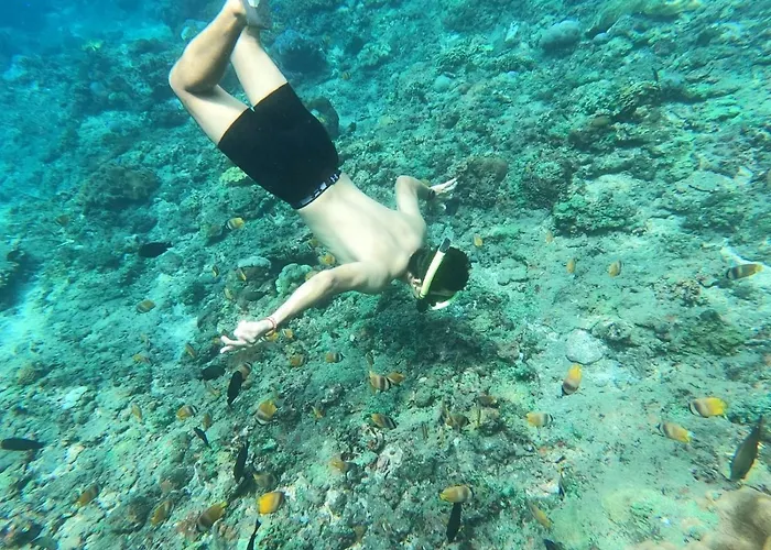 Kubu Penida *